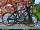 Cannondale F4000 well-fitting Halloween