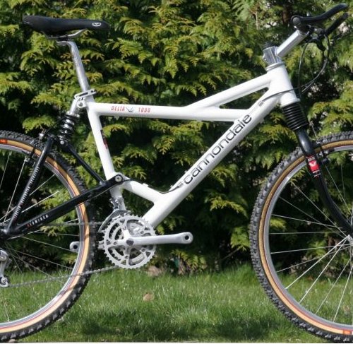 cannondale delta v 1000