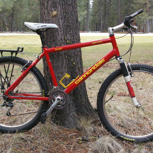 cannondale beast of the east m800