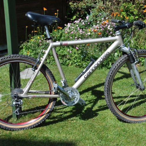 cannondale m1000 mountain bike