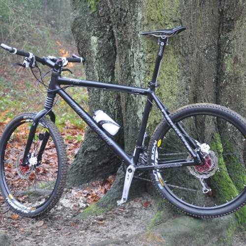 cannondale caffeine f2