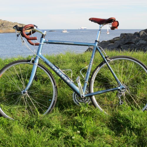 cannondale r800 sport