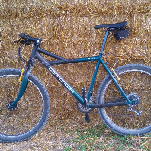 cannondale delta v600