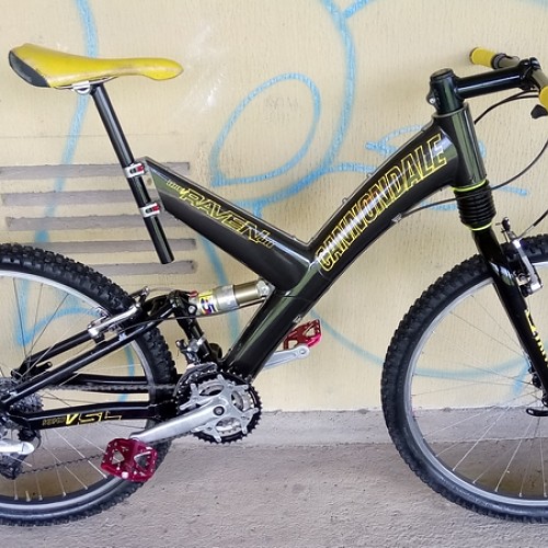 cannondale raven