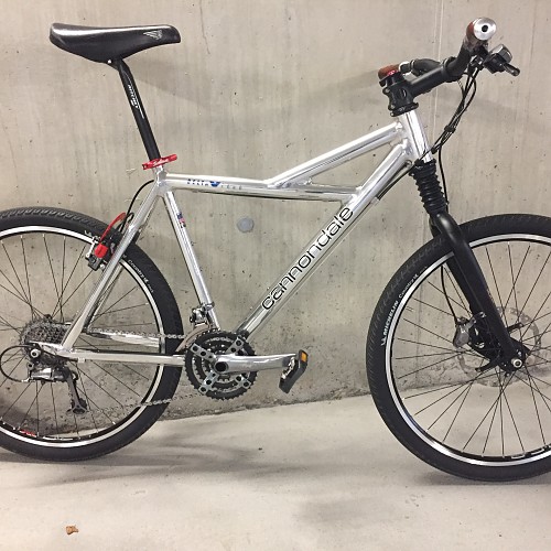 cannondale delta v 1000