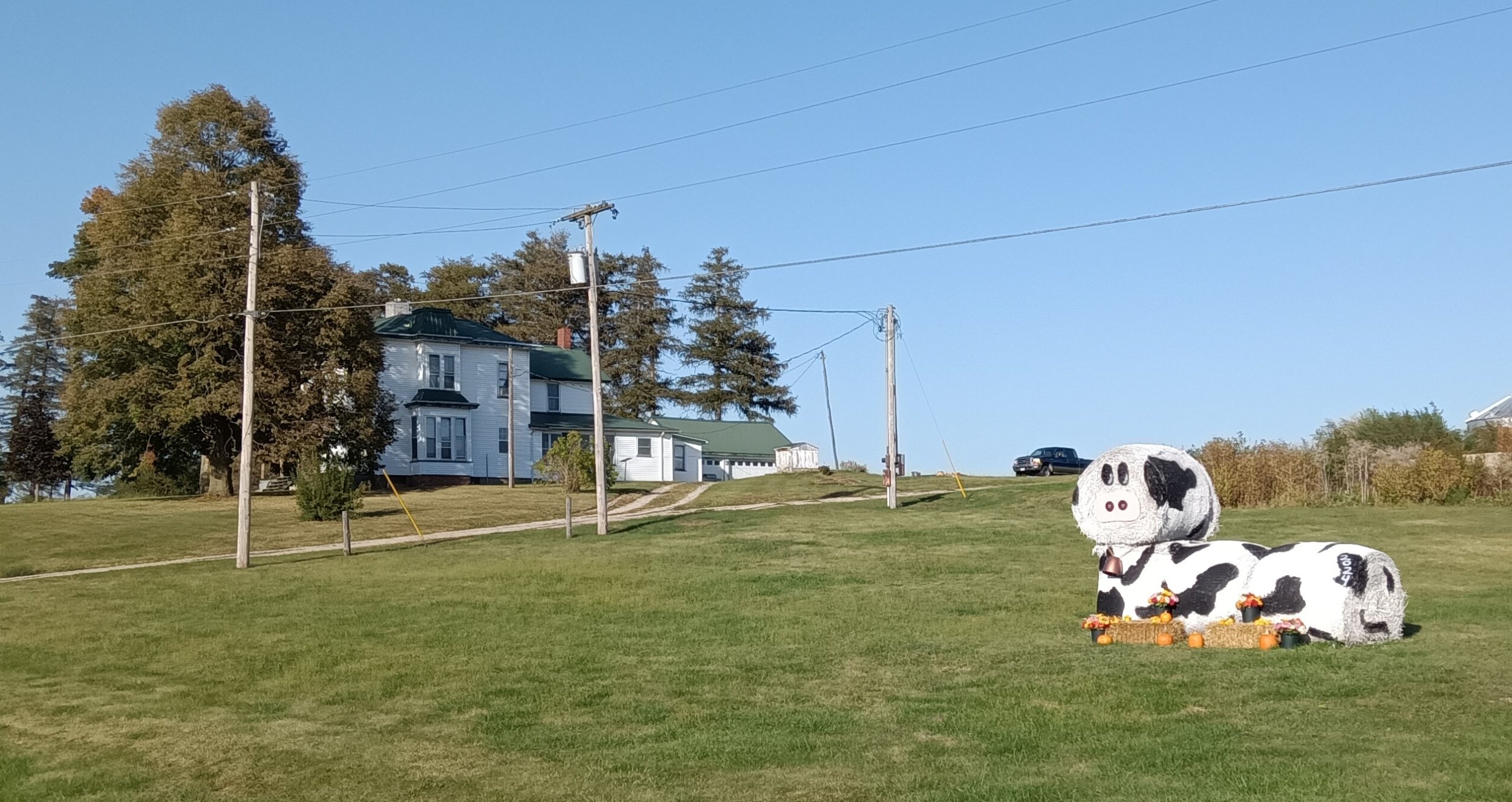 Holstein hay bales cr.jpg