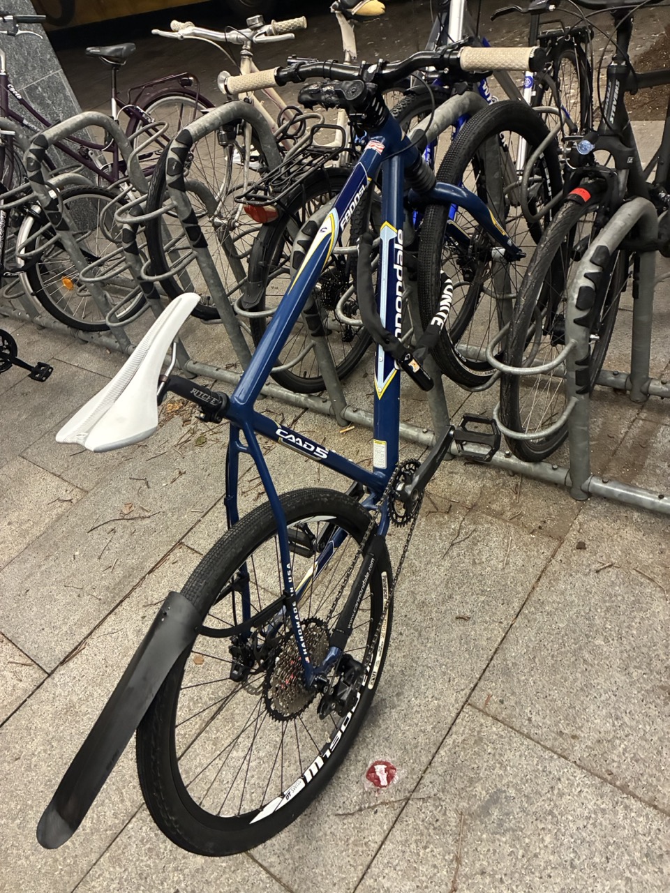 IMG_3696 - Grande.jpeg