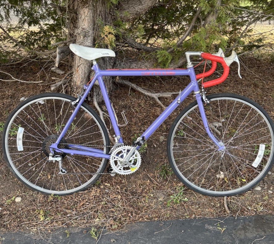 ST600.jpg