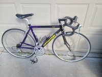 IMG_2417.jpeg