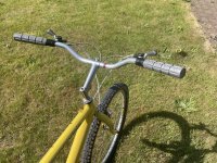IMG_5598.jpeg