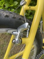 IMG_5764.jpeg