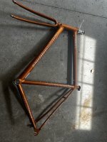 IMG_3631.jpeg