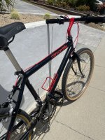 IMG_3798.jpeg