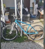 IMG_3933.jpeg