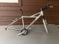 IMG_3976.jpeg