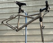 IMG_4938.jpeg