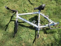 IMG_4109.jpeg