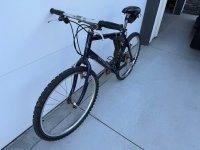 IMG_4153.jpeg