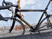 IMG_7868.jpeg