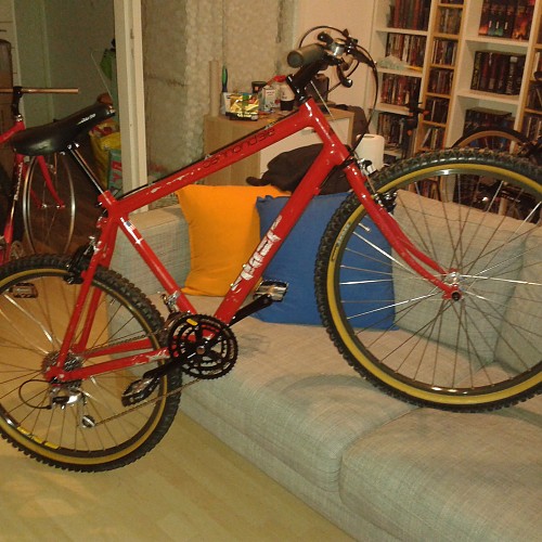 Cannondale Red Shred 1988 (18).jpg