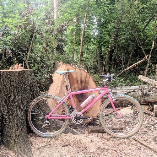 19865-cannondale-team-pepto-bismol-37688_10.jpg