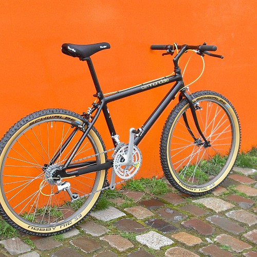 Cannondale SM 700 1988 (27).JPG