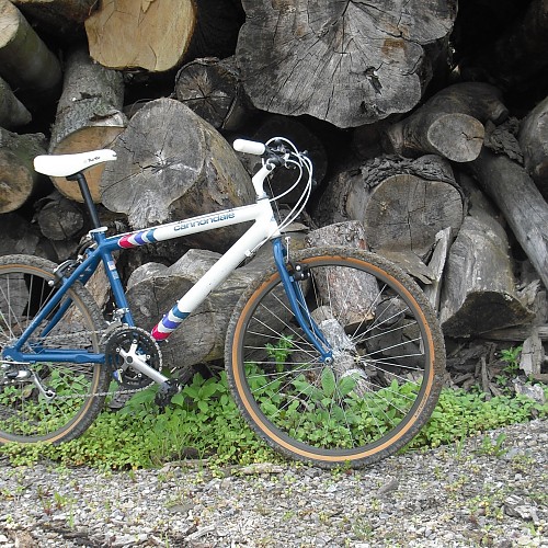 Cannondale SM 600 1989 (23).JPG