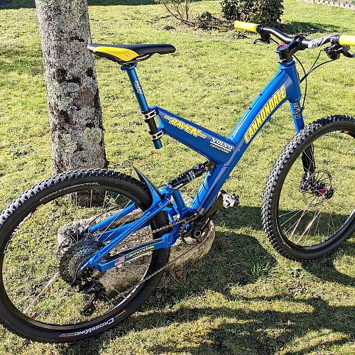 Vintage Cannondale (7).jpg